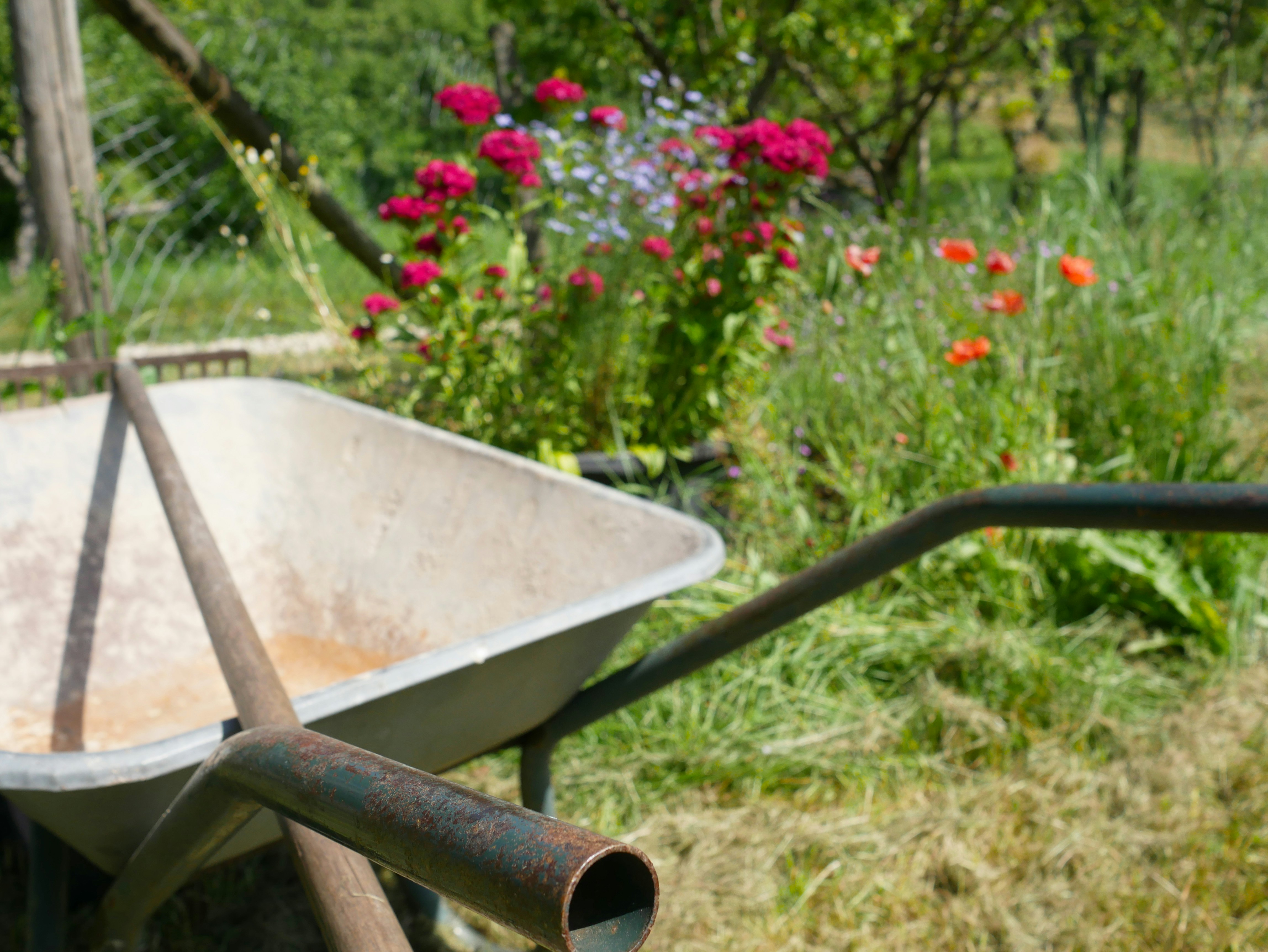 Sustainable Gardening