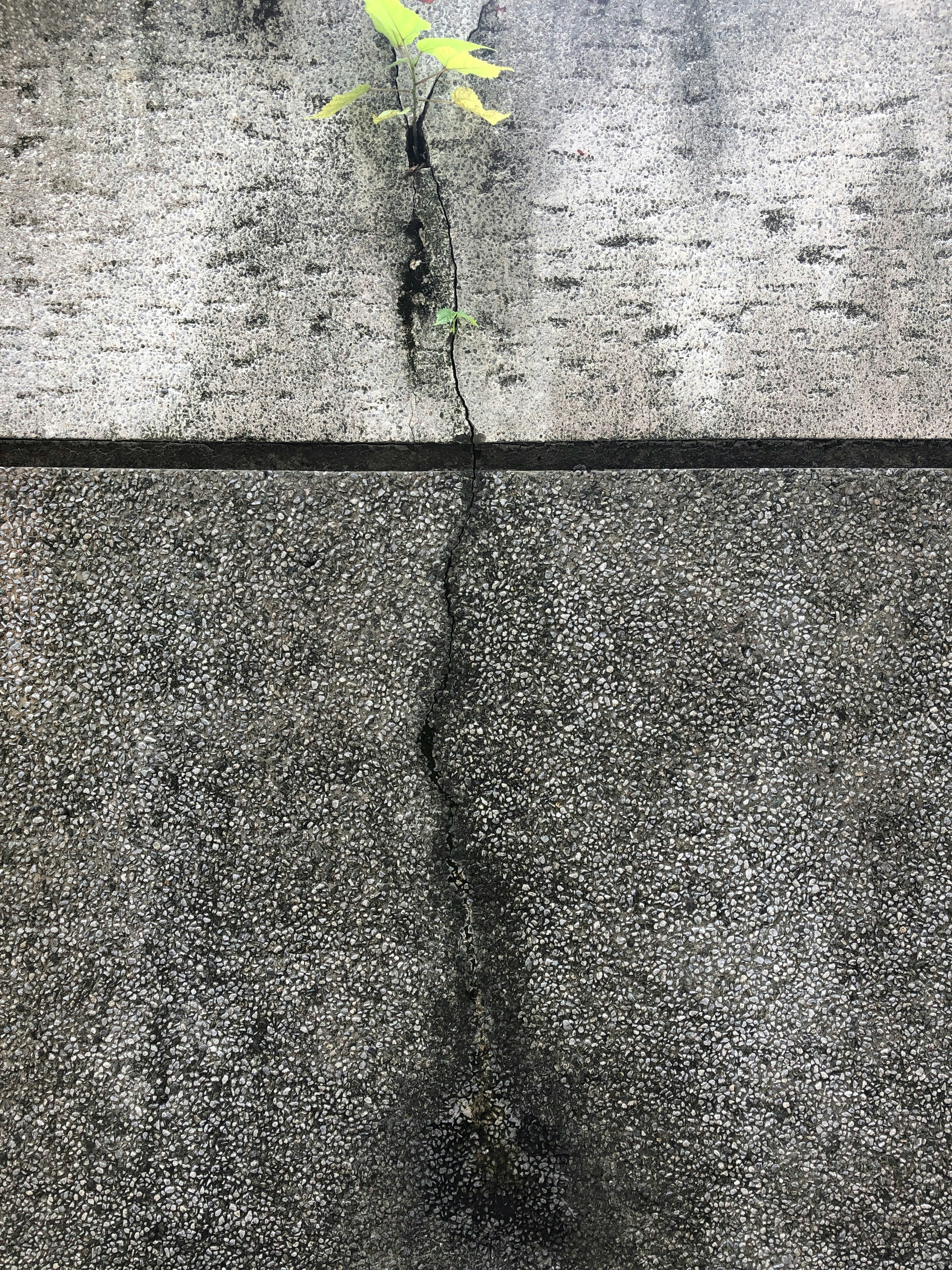 Paving Maintenance