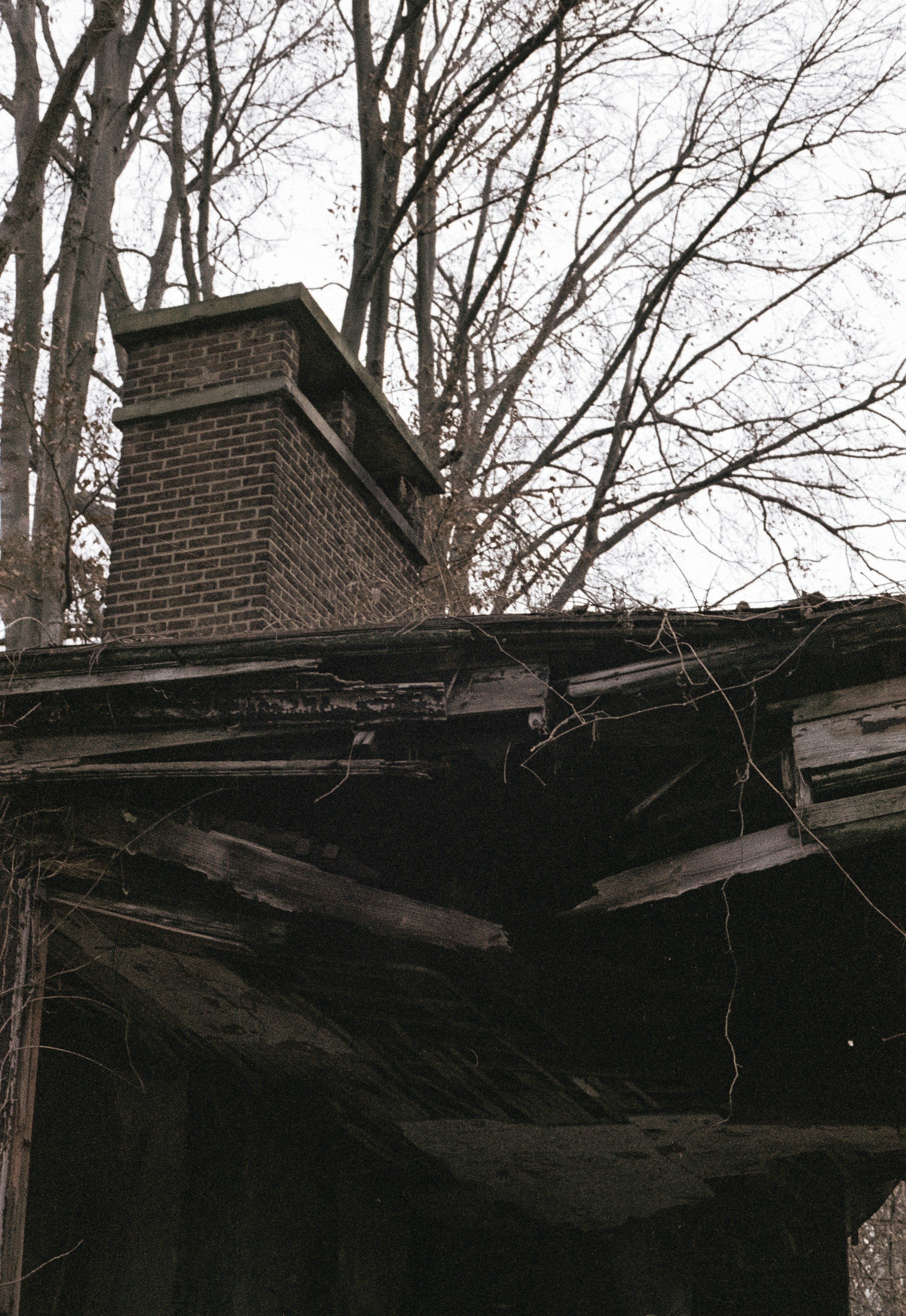 Emergency Roof Repair