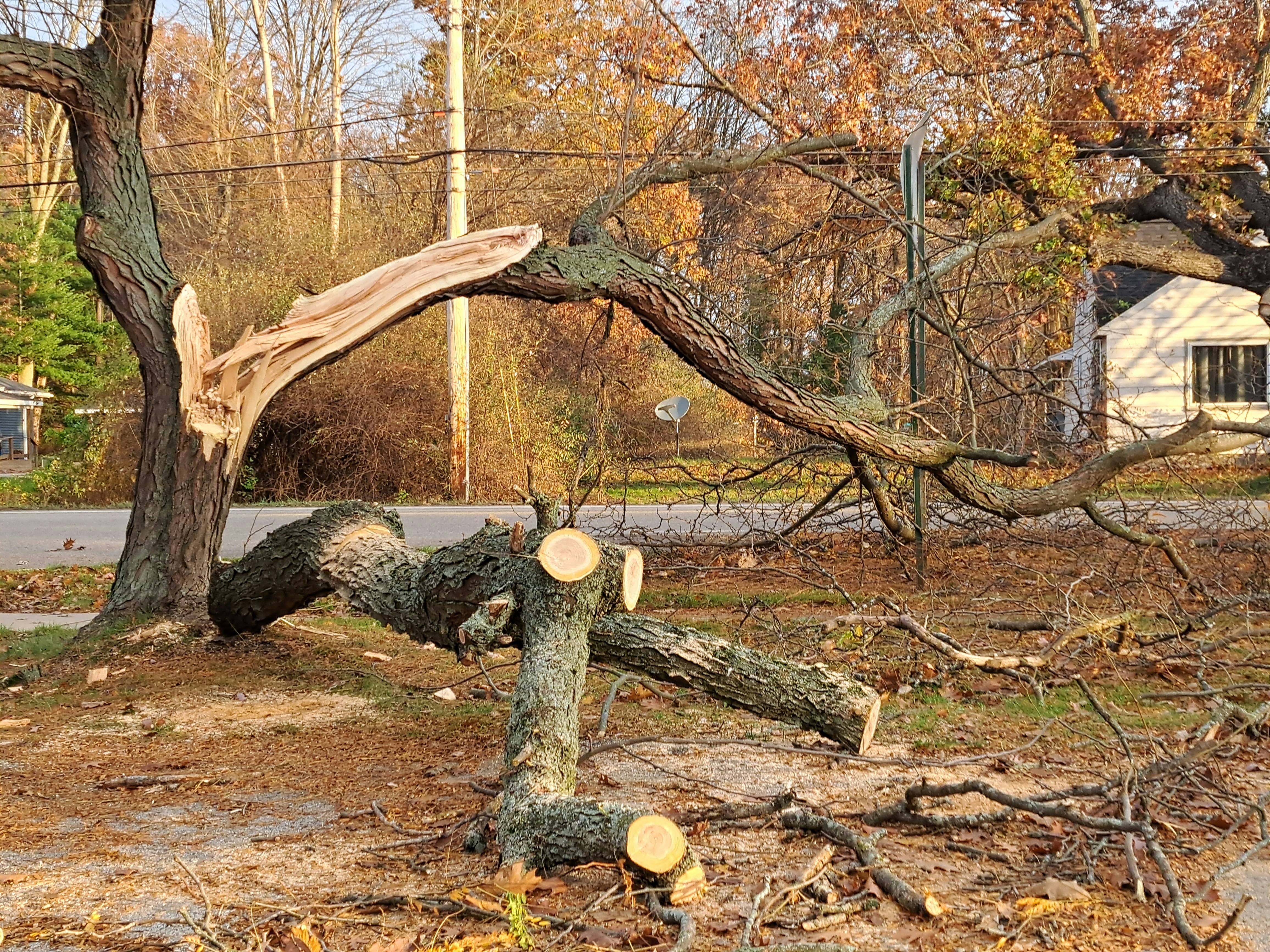Storm Damage